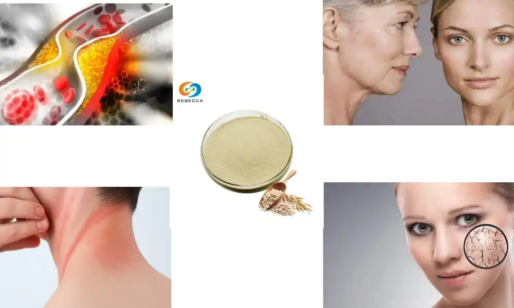 What are the specifications of Oat Beta Glucan Powder?